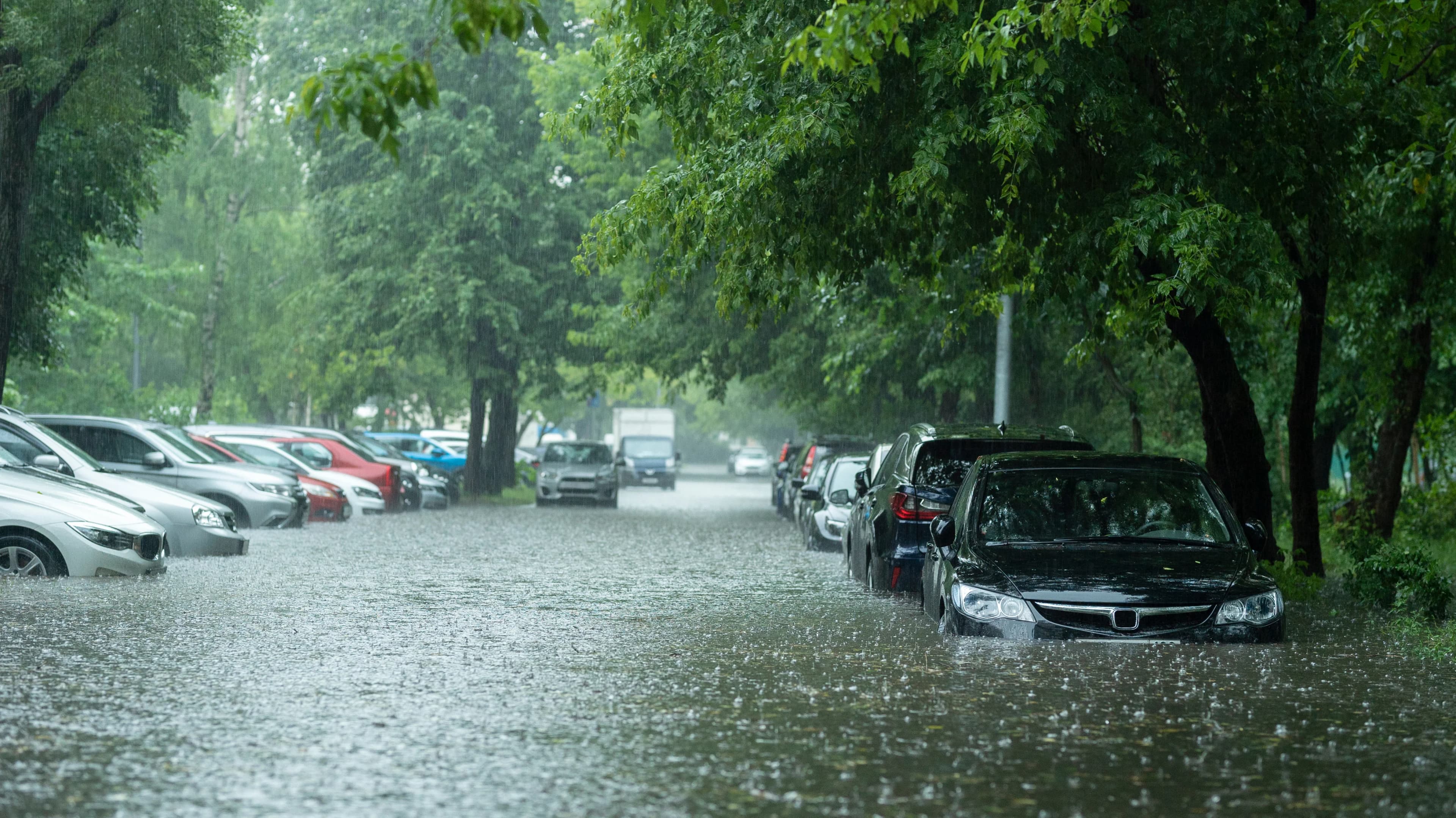 Flood Risk in New Bern, NC: Neuse River History, FEMA Zones, and Why Standard Home Insurance Isn't Enough